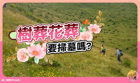 環保葬 風水|樹葬、花葬如何掃墓祭拜？民俗專家提醒：環保葬注意。